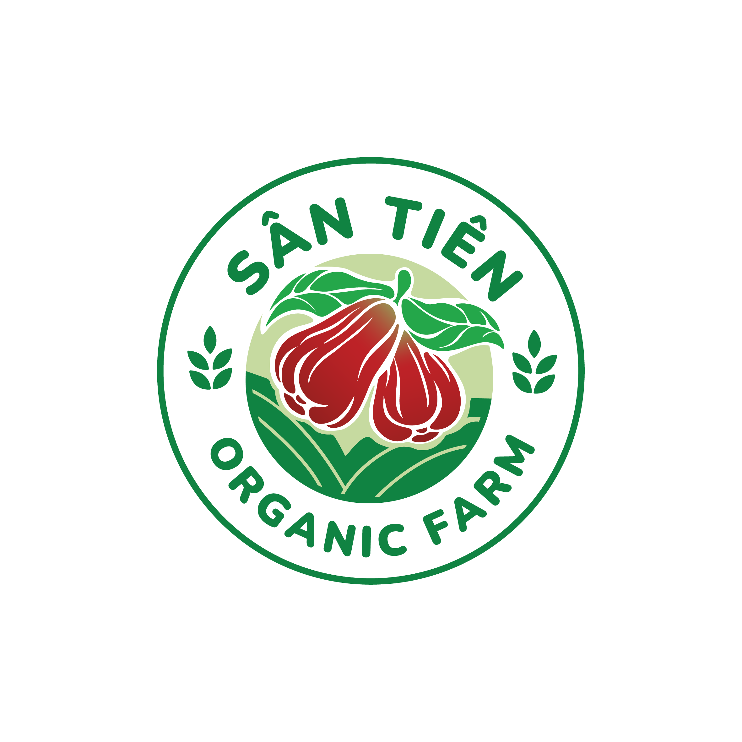 Truy xuất nguồn gốc Mận Sân Tiên